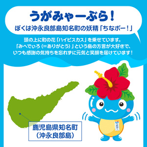 ちなボー ぬいぐるみ C061-001 おもちゃ 子ども プレゼント