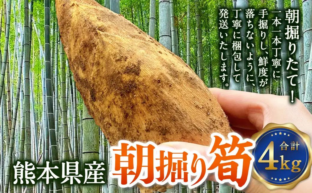 熊本県産 朝掘り 筍 約4kg 【2027年4月上旬発送開始】 たけのこ タケノコ 野菜