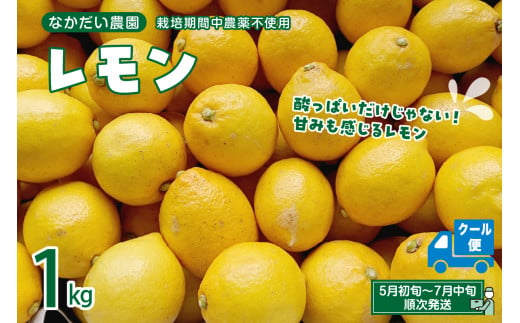 【先行受付】栽培期間中農薬不使用「レモン」約1kg【クール便】 レモン れもん 檸檬 特別栽培 皮まで安心 瀬戸内 産地直送 お取り寄せグルメ 送料無料 特別栽培農産物 広島県 呉市