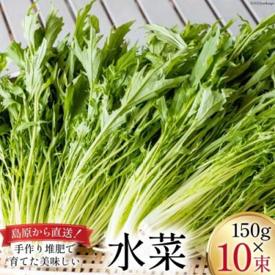 ふるさと納税 島原市 ほうれん草・水菜・小松菜の詰め合わせセット(30束) |  | 01
