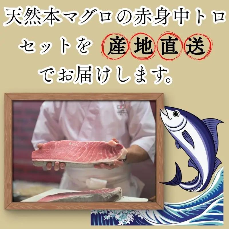 【ふるなびWEEK対象】【出荷時期：7月上旬～】本マグロ 赤身 中トロ 各1柵 セット 国産 本鮪[fu-0027-002]