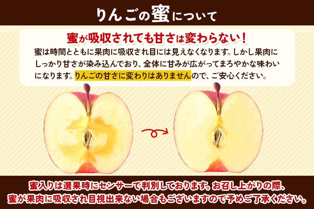 【25年12月発送】りんご 蜜入り 13度糖度保証【訳あり】家庭用 葉とらずふじ 約10kg