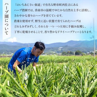 ふるさと納税 香南市 さわやかハーブティー6種の詰め合わせセット gr-0119 |  | 02
