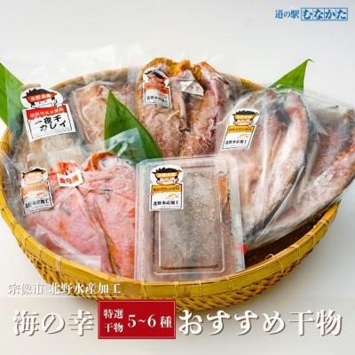 ふるさと納税 宗像市 北野水産加工おすすめ干物詰合せ【道の駅むなかた】_HA1819