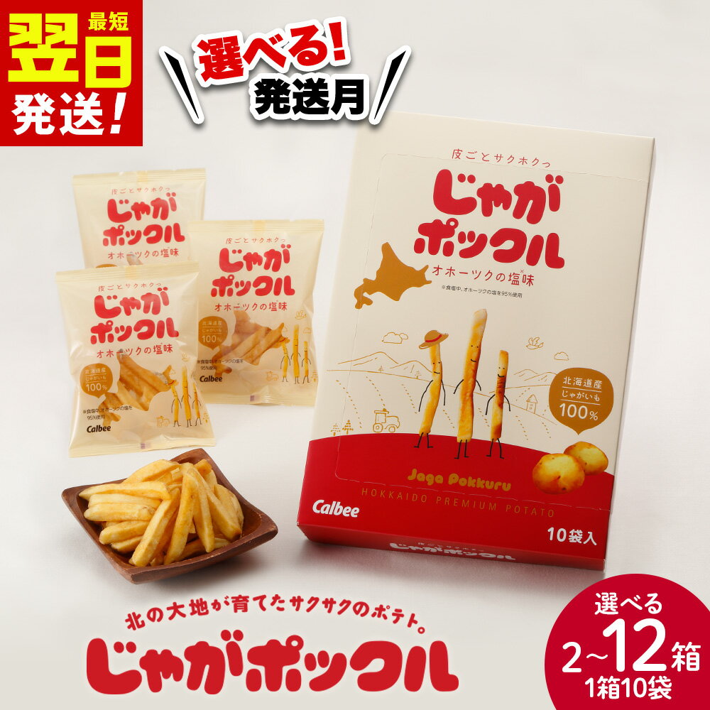 北海道限定カルビーじゃがポックル（10袋入り　4箱）お菓子 スナック菓子 じゃがいも 北海道ふるさと納税 千歳市 ふるさと納税【北海道千歳市】ギフト ふるさと納税
