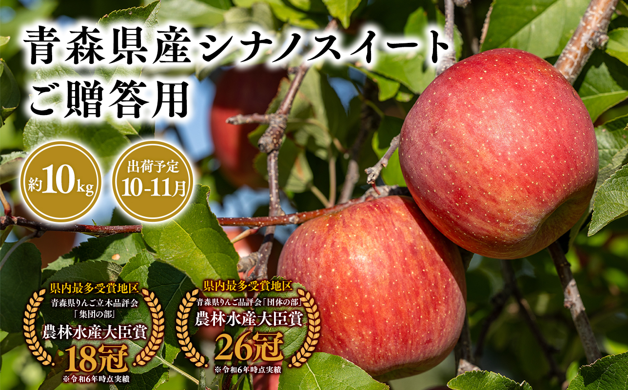 2026年産１０月・１１月発送　贈答用シナノスイート10kg【青森県 平川市 そと川りんご園】１０月～１１月発送 贈答 青森 青森県産 平川 りんご リンゴ 林檎 くだもの 果物 フルーツ