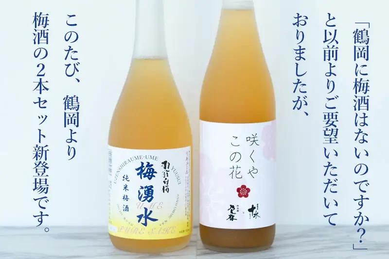 鶴岡の梅酒2本セット 佐藤屋×大山『咲くやこの花』＆羽根田酒造 羽前白梅『梅湧水』 各720ml　山形県鶴岡市 山形県酒類卸株式会社　K-843　| お酒 酒 地酒 日本酒 純米酒 純米 清酒 ご当地