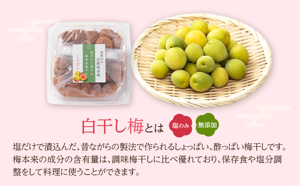 梅干し しらぼし梅 約400g 塩のみ 無添加 大粒 紀州南高梅 塩分約15％ 和歌山県産 [ 定期便 毎月発送・全6回 ]