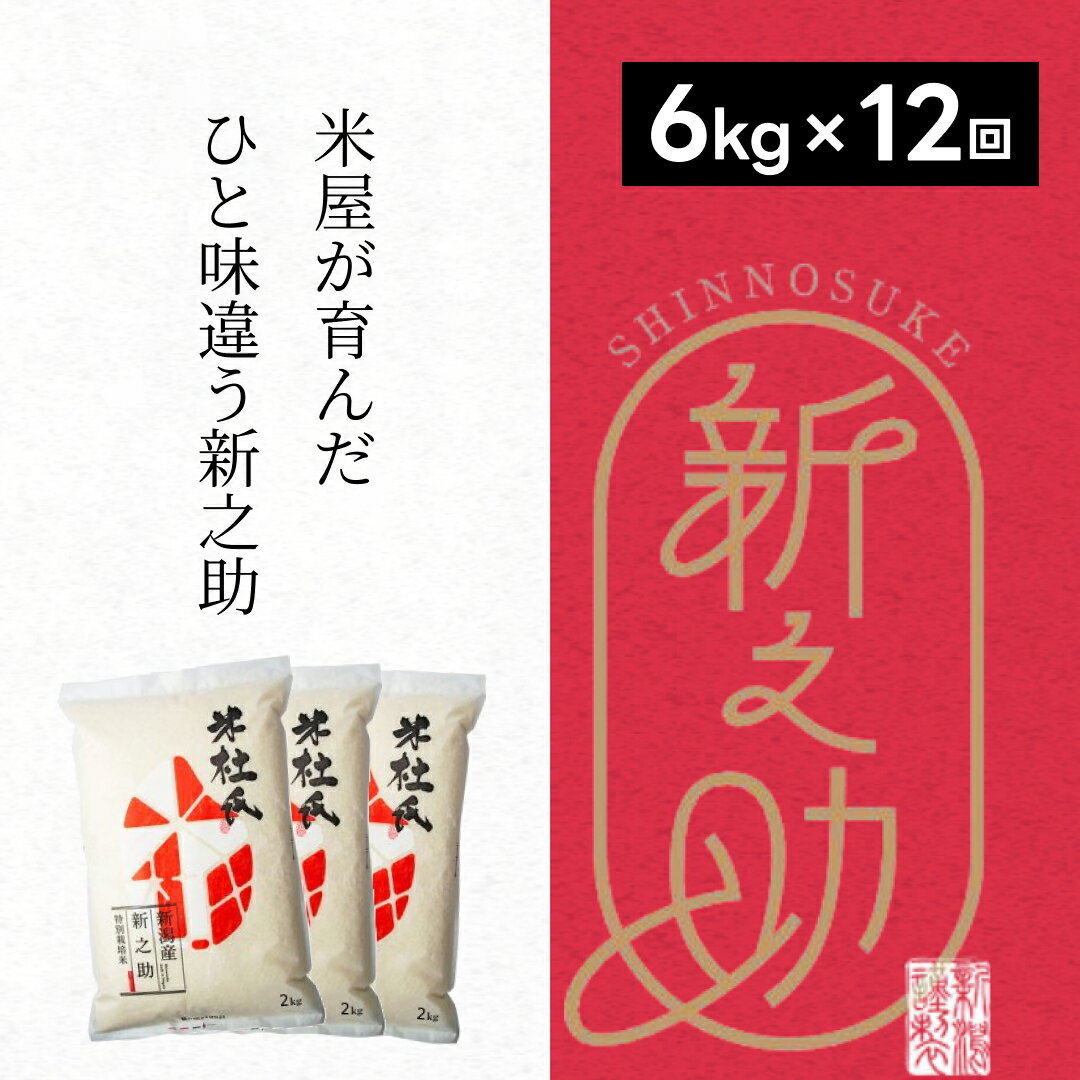 【ふるさと納税】【令和7年産新米】【12ヶ月定期便】特別栽培米 新之助 6kg (2kg×3袋)×12回 米杜氏 壱成 白米 精米 大粒 つや 光沢 弾力 芳醇