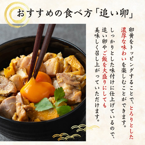 i1075-A いずみどり 親子丼の具 (2袋) 親子丼 レンジ おかず 丼 鶏肉 鶏 卵 冷凍 簡単 調理 電子レンジ 国産 安心 安全 ご飯のお供 手作り 【三喜】