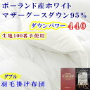 【ふるさと納税】 羽毛布団 ダブル羽毛掛け布団 100番手 【ポーランド産マザーグース95%】 羽毛ふとん 【ダウンパワー440】 寝具 冬用 羽毛布団 ふるさと納税 布団 掛け布団 ダブル D ポーランド産 マザーグース 山梨県 富士河口湖町 送料無料 FAG180