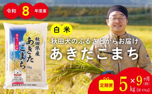 【定期便9ヶ月】秋田県産あきたこまち(白米)5kg / 米 白米 5kg 令和8年産 秋田県産 あきたこまち 5kg×1袋 おにぎり 大館 東北 秋田 小分け こわけ 大館市 5キロ 5ｷﾛ 5きろ【315P051002-S-09-5-oi3】【ふるさと納税3.0】