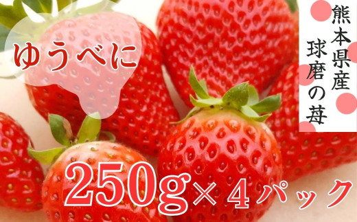 熊本県ＪＡくま産　球磨の苺　250g×4パック 【先行受付】【発送時期：2027年1月中旬～2月中旬発送】