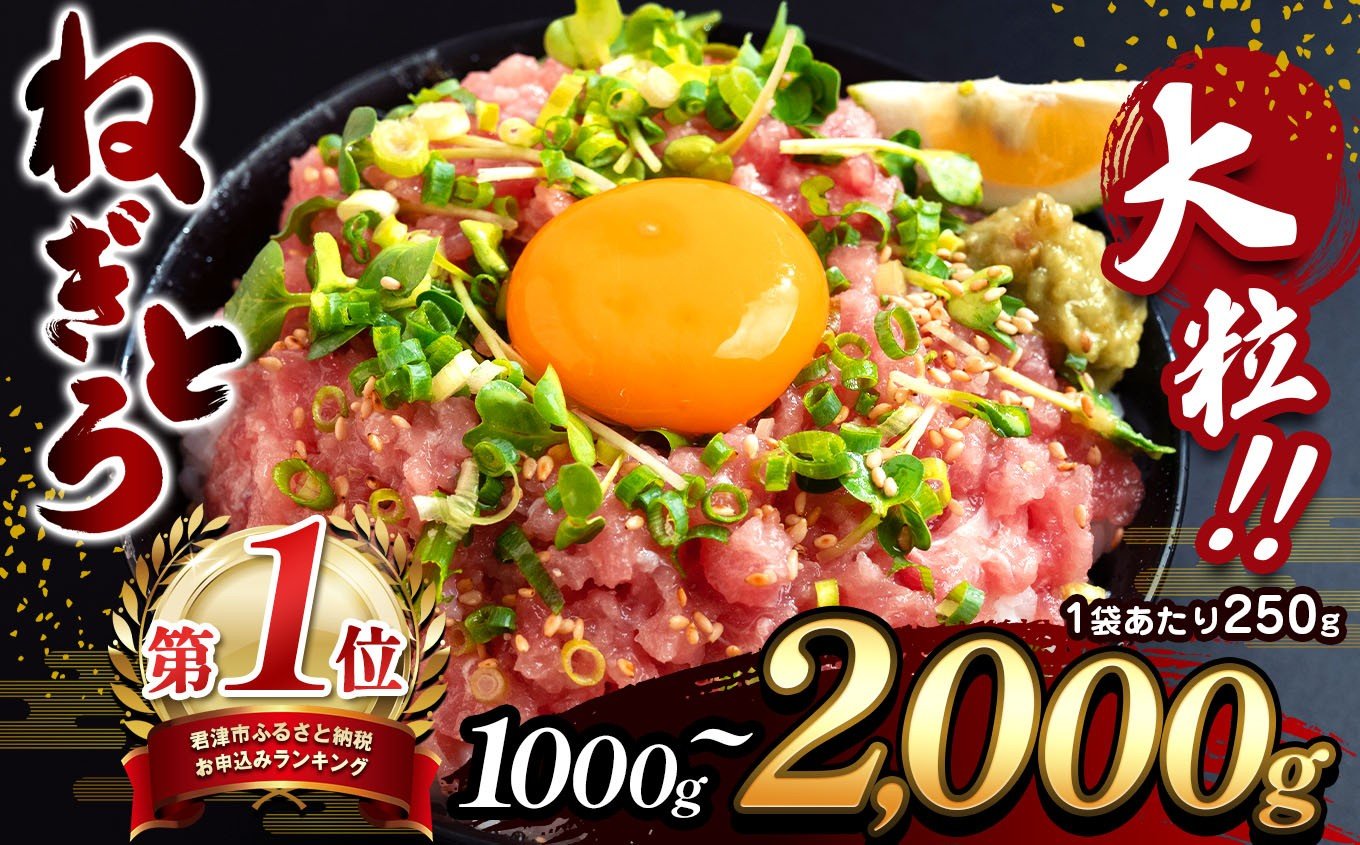 清幸丸水産 ねぎとろ 大人気 1250g(250g×5袋) 味も量も大満足