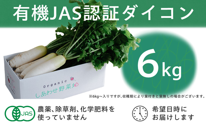 
            有機大根　有機JAS認証　煮物やおでんに最適　冬の味覚(12～3月発送)【1568580】
          