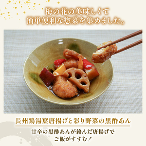 惣菜詰め合わせ 3種 ( 唐揚げ からあげ 湯葉 黒酢 和風 丼 どんぶり 鶏肉 トマト 煮込み 豆腐 ハンバーグ 惣菜 夕飯 冷凍 おかずご飯 詰め合わせ セット 井手町 京都府 梅の花 10000