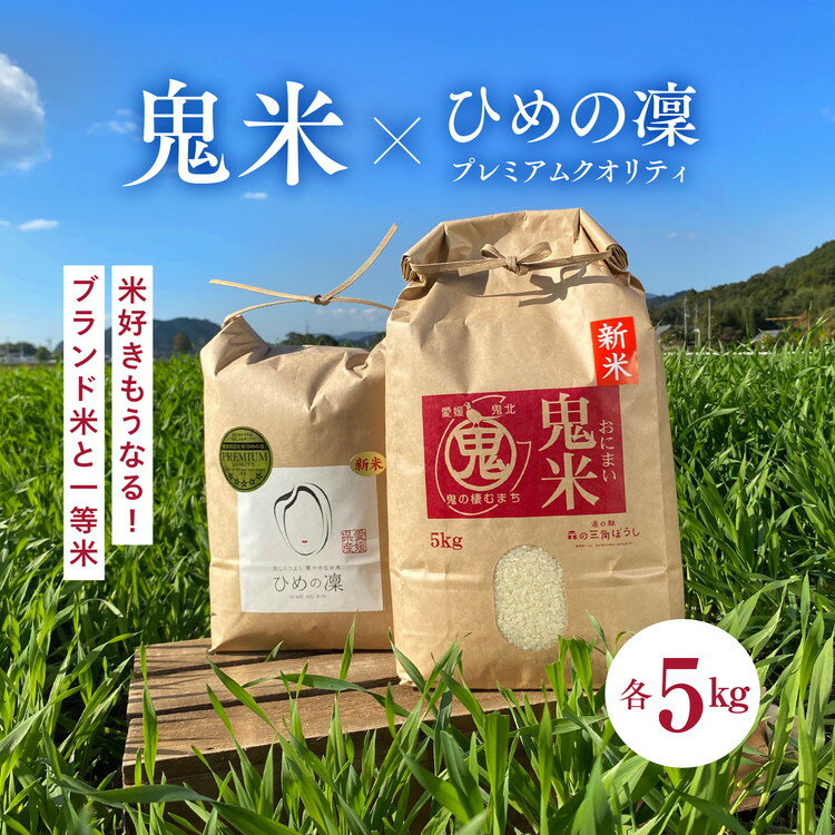 【ふるさと納税】【先行予約】【R7年産】鬼米×ひめの凛（プレミアムクオリティ） 各5kg （計10kg） ｜ お米 お米不足 お米品薄 おいしい お米 事業者支援 送料無料 白米 精米 国産 限定 ごはん ご飯 白飯 ゴハン 愛媛県産 鬼北町 ※2025年11月上旬より順次発送予定