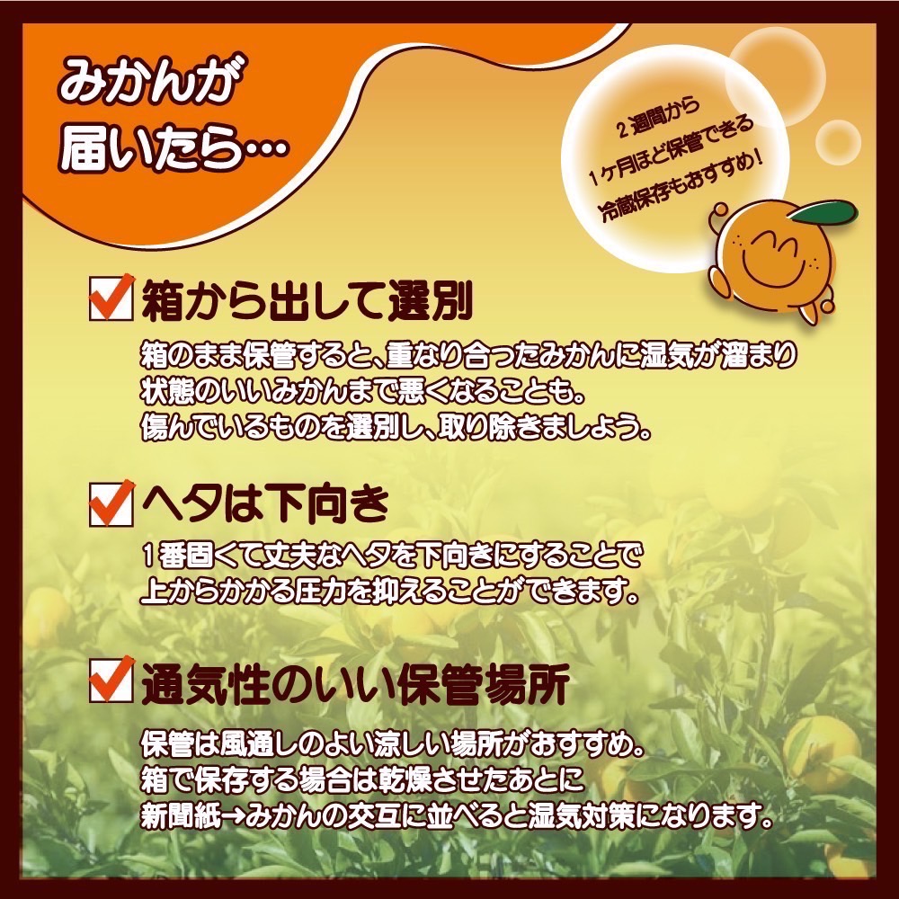 EH6100_【2025年先行予約】【訳あり ご家庭用】和歌山県産 有田みかん 10kg＋2kg保証分 サイズ混合