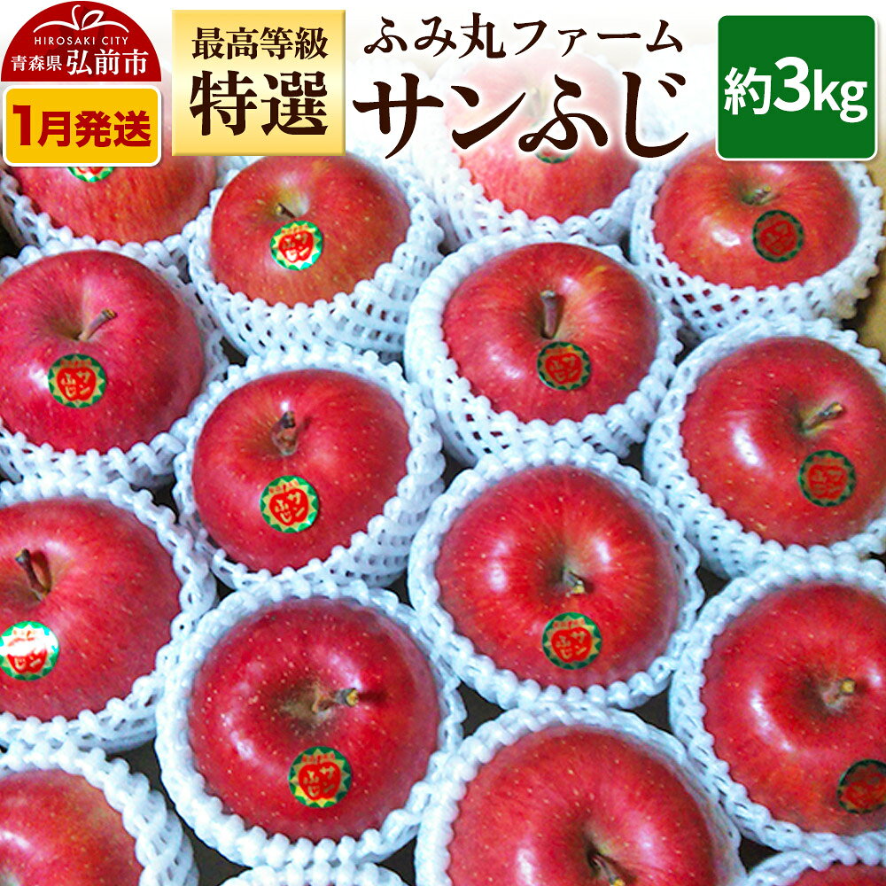 【ふるさと納税】【26年1月〜発送】りんご ふみ丸ファーム 最高等級「特選」サンふじ 約3kg