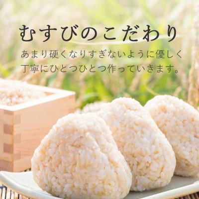 ふるさと納税 西条市 手作り玄米おにぎり「玄米おむすび玄むす」　20個セット　 |  | 01