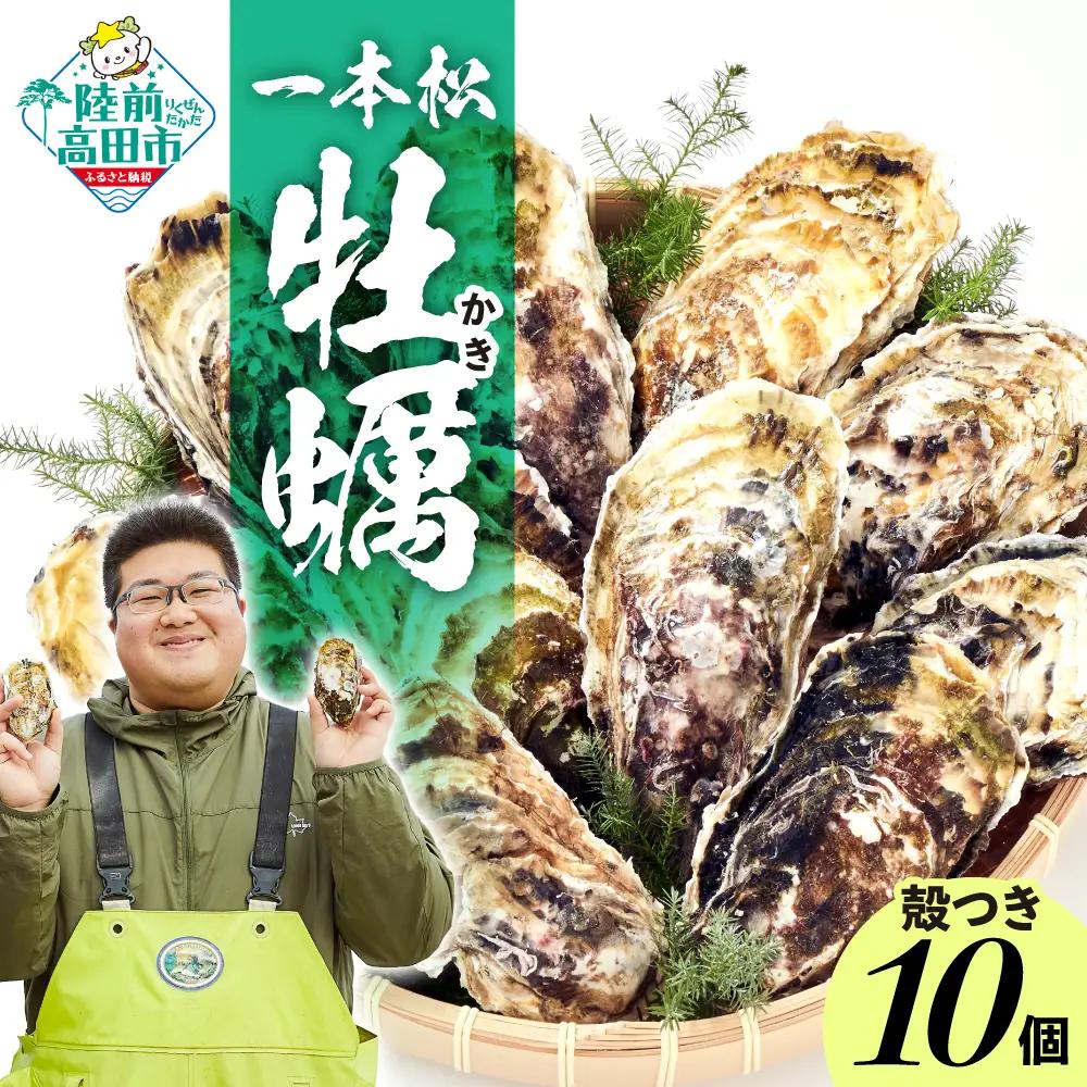 『一本松牡蠣』 生食用殻付き牡蠣 10個セット