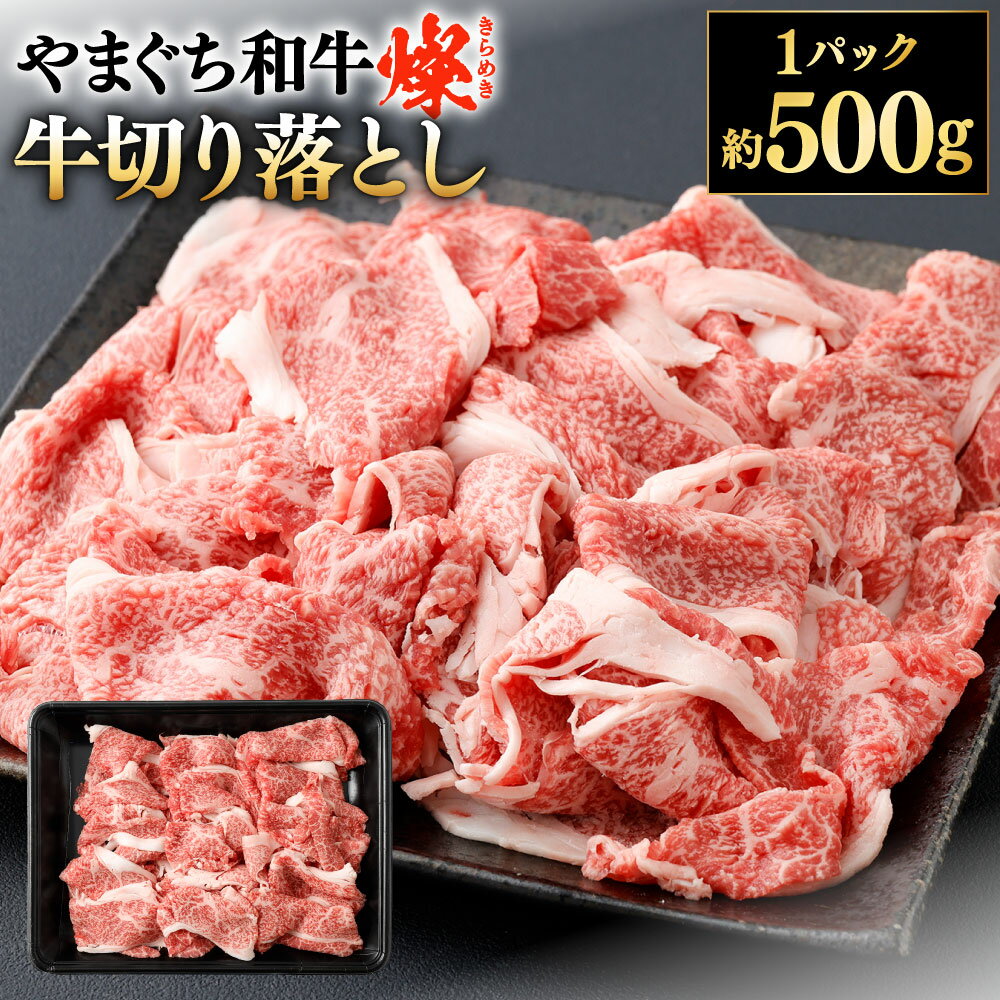 【ふるさと納税】【やまぐち和牛燦】牛切り落とし 約500g×1パック 牛肉 国産和牛 国産牛 お肉 切落し ブランド牛 黒毛和牛 冷凍