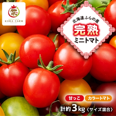
                  ＜先行受付　2026年発送＞北海道ふらの産　完熟ミニトマト〈甘っこ・カラートマト〉約3kgサイズ混合【1505751】
                