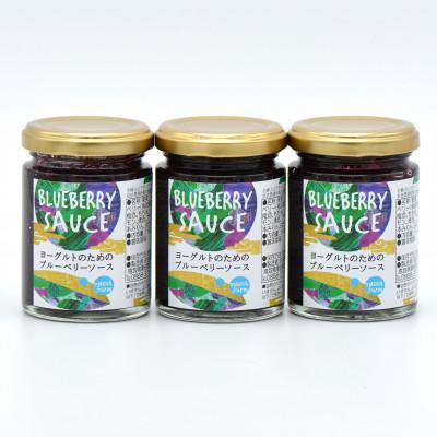 ふるさと納税 北栄町 前田農園 ヨーグルトのためのブルーベリーソース3本セット
