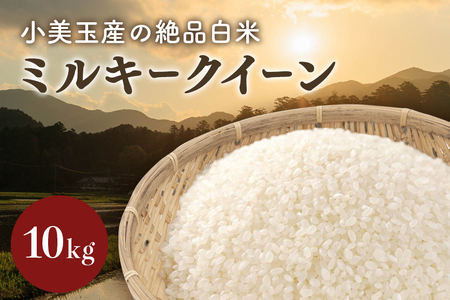 令和６年産米 小美玉産ミルキークイーン 10kg みるきーくいーん お米 白米 茨城県 小美玉市 17-J