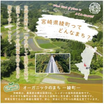 ふるさと納税 綾町 【毎月定期便】綾町旬野菜ギフト Sサイズ全12回 |  | 01