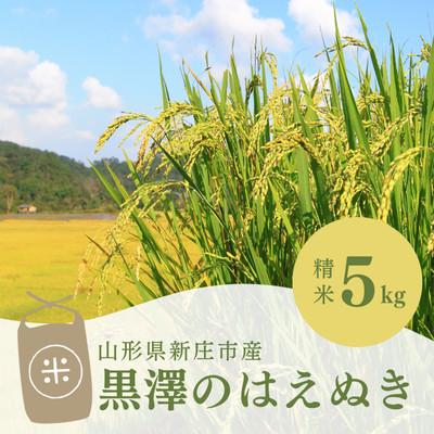ふるさと納税 新庄市 黒澤のはえぬき5kg 精米