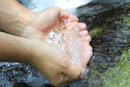 小分けタイプ！熊野地鶏肝セット～１㎏以上～