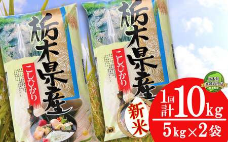 コシヒカリ10kg（5kg×2袋）【10月発送】【先行予約】【栃木県共通返礼品】 | 米 こめ コメ kome 白米 精米 お米 こしひかり ｺｼﾋｶﾘ 新米 栃木米 令和7年度米 令和7年度 2025年度米 2025年度 ブランド米 栃木県 特産品 送料無料 栃木県 下野市 しもつけ市