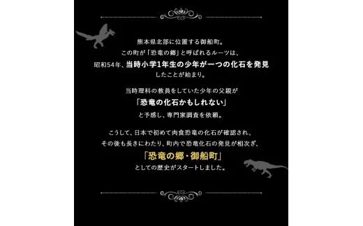 熊本県 御船町 恐竜パズルスタンド 御船町観光協会《受注制作につき最大2カ月以内に出荷予定》 御船町観光協会オリジナル_イメージ3