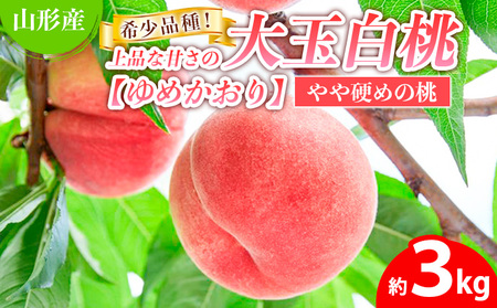 希少品種！！上品な甘さの大玉白桃【ゆめかおり】約3kg [やや硬めの桃] 【令和8年産先行予約】 FS25-650 くだもの 果物 フルーツ 山形 山形県 山形市 2026年産