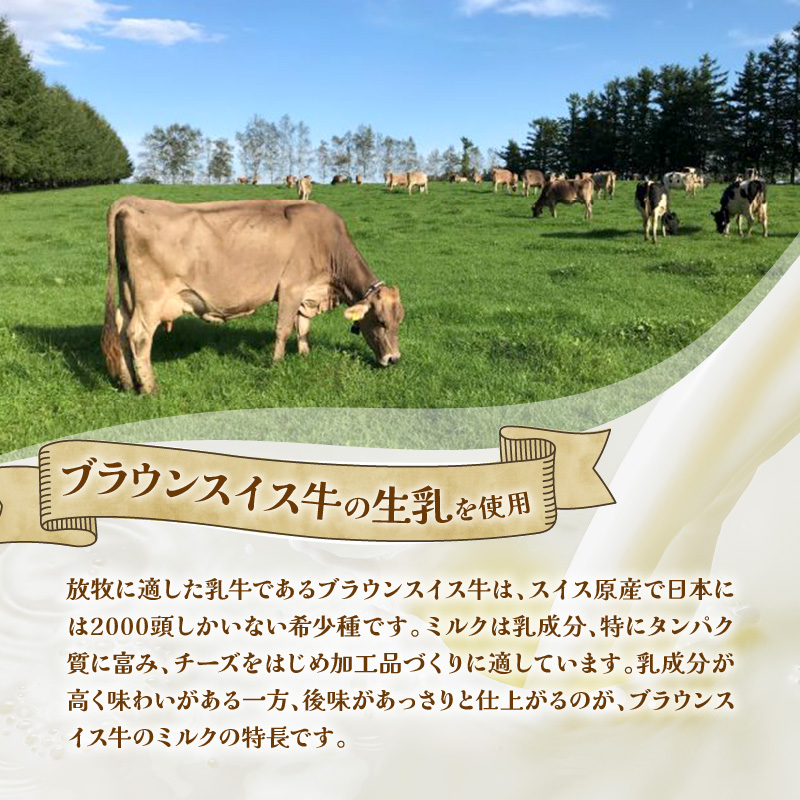 ”希少なブラウンスイス生乳使用” 十勝アルプス牧場 濃厚ショコラアイス12個セット【アイス 濃厚 さっぱり 高たんぱく ソフトクリーム アイスセット チョコアイス ショコラアイス お中元 お歳暮 のし