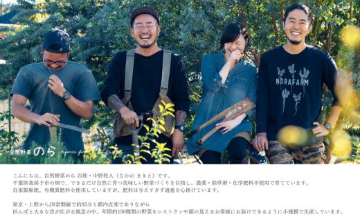 【毎月定期便3回】旬 季節の野菜セット (8~10種)《申込月の翌月より出荷》