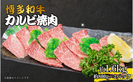 博多和牛カルビ焼肉　約1600ｇ　国産 黒毛和牛