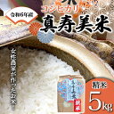 【ふるさと納税】 令和6年産米 女性農家が作ったお米「真寿美米」コシヒカリ精米5kg F21R-804