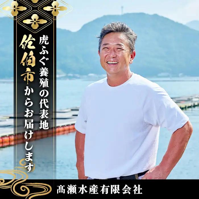 訳あり とらふぐ アラ パック (約800g) 【GP014】【高瀬水産】