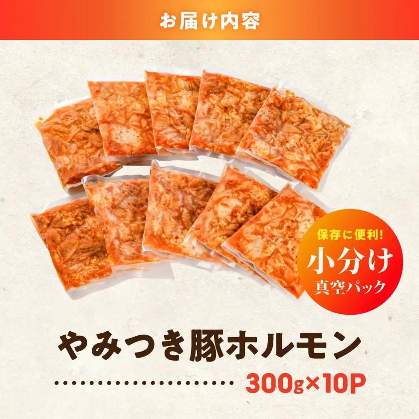 やみつき豚ホルモン!3kg!真空小分けパック!≪みやこんじょ特急便≫〔LG8-3303-Q〕_(都城市) 国産豚 ホルモン 味付き 300g×10P 3kg 小分け 真空パック 