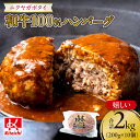 【ふるさと納税】 ハンバーグ 和牛100% 200g×10個 合計2キロ 国産 牛肉 お肉 惣菜 グルメ お取り寄せ 人気 ジューシー 冷凍 ニクヤガボタイ 北海道 札幌市