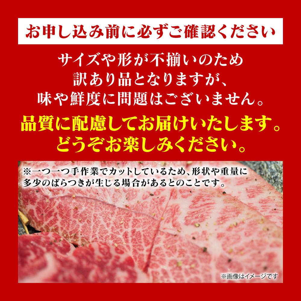 【訳あり】 【A4～A5ランク】 【厳選希少部位】 くまもと黒毛和牛 ミスジ ステーキ 約1kg （約100g×10枚） 和牛ステーキ 牛肉 お肉 ミスジ 黒毛和牛 冷凍 おかず 熊本県 八代市_イメ