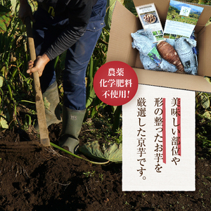 ◆◆2024年度収穫分先行予約◆◆ 「農家 農天氣がおくる」山梨県上野原市産 京芋 約4kg