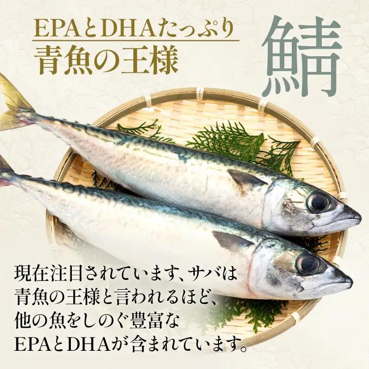 サバカレー  竜宮城のさばキーマカレー200g×6  サバカレー 