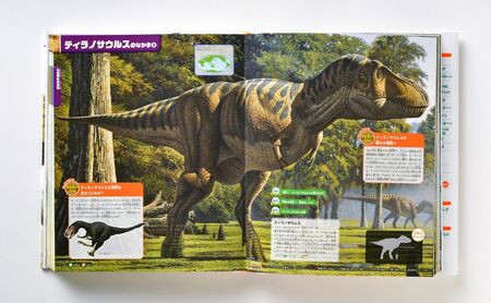 図鑑 講談社 MOVE 7冊 生きもの セット 図鑑