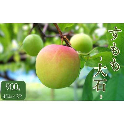 ふるさと納税 田辺市 先行予約 すもも(大石)900g(450g×2)※5月下旬〜順次発送予定【mtm010-2】