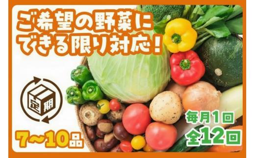 A135 わがまま野菜定期便（年12回）