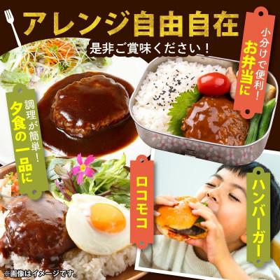 ふるさと納税 上毛町 大豆ミートで作った美味しいデミグラスソースハンバーグ 150g×5個 |  | 03