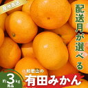 【ふるさと納税】 秀品 有田みかん 和歌山県産 S〜Lサイズ 大きさお任せ 3kg +100g【2023年10月〜2024年1月頃に順次発送予定】/ みかん フルーツ 果物 くだもの 有田みかん 蜜柑 柑橘